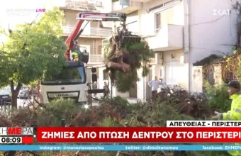 Κακοκαιρία «Μπάλλος»: Πτώση δέντρου στο Περιστέρι