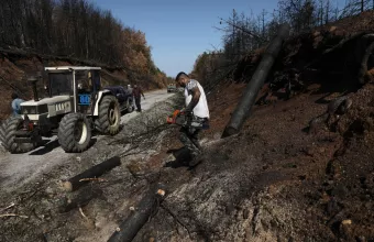 Μέτρα στήριξης επιχειρήσεων Βόρειας Εύβοιας που επλήγησαν από τις πυρκαγιές