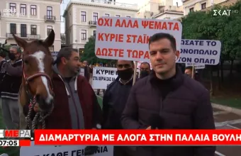 Τ' άλογο! τ' άλογο! Γιατί έγινε συγκέντρωση με «πρωταγωνιστές» άλογα στην Παλαιά Βουλή