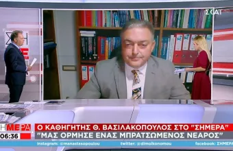 Βασιλακόπουλος σε ΣΚΑΪ: Με έπιασαν από το λαιμό και με πέταξαν κάτω