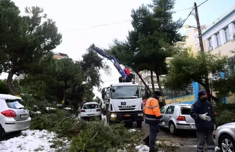 Υπουργείο Περιβάλλοντος: 11 συνεργεία υλοτόμων για τα πεσμένα δέντρα 