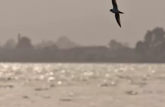 Καιρός σήμερα: Τοπικές βροχές και αφρικανική σκόνη – Έως 24 βαθμούς η θερμοκρασία