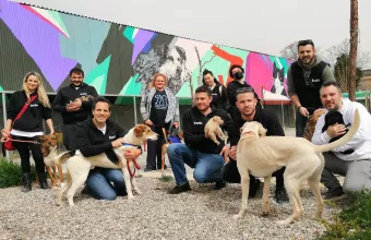 Η ομάδα εθελοντών της bwin στον  Χώρο Προσωρινής Φιλοξενίας Αδέσποτων Ζώων του Δήμου Αθηναίων 