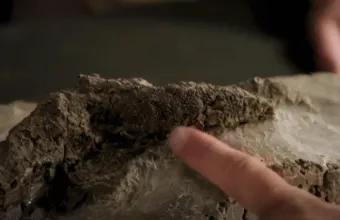 Εντοπίστηκε απολίθωμα ποδιού δεινοσαύρου που σκοτώθηκε όταν γιγάντιος αστεροειδής χτύπησε τη γη