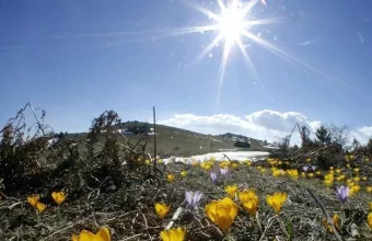 Με καλοκαιρινό καιρό το ψήσιμο του οβελία: Λιακάδα και υψηλές θερμοκρασίες 