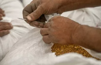 Μόσχα: Η Δύση, όχι εμείς, κατέστρεψε την παγκόσμια επισιτιστική ασφάλεια 