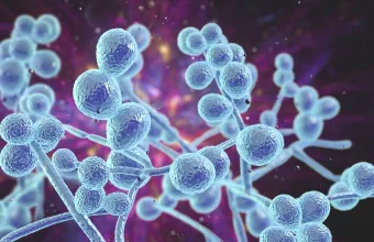 Μύκητας Candida auris: Πού τον συναντάμε και πόσο πρέπει να ανησυχούμε; 