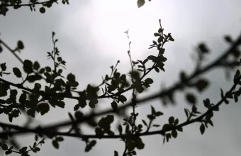 Καιρός σήμερα: Ανεβαίνει ο υδράργυρος – Πού θα πέσουν τοπικές βροχές