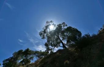 Καιρός
