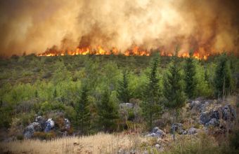 Καναδάς: Οι πυρκαγιές έκαψαν περισσότερα από 27 εκατομμύρια στρέμματα το 2023 
