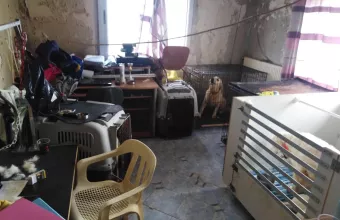 Το διαμέρισμα της 60χρονης με τα 16 σκυλιά 