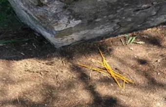 Με κεράκια και ξερά χόρτα προσπάθησε ο επίδοξος εμπρηστής να βάλει φωτιά στη Μαλακάσα