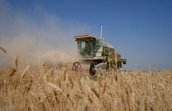 Πάνω από 20 εκατομμύρια τόνοι σιτηρών παραμένουν μπλοκαρισμένοι στις σιταποθήκες της Ουκρανίας. 