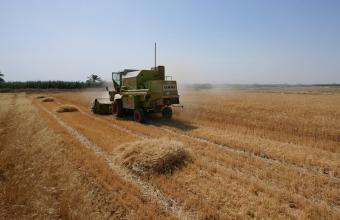 Ουκρανία: «Βουτιά» 40% στη φετινή παραγωγή σιταριού λόγω του πολέμου