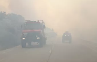 Φωκίδα: Χωρίς ενεργό μέτωπο η φωτιά - Κάηκαν 3.000 στρέμματα ελαιώνα