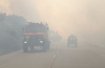Φωκίδα: Χωρίς ενεργό μέτωπο η φωτιά - Κάηκαν 3.000 στρέμματα ελαιώνα
