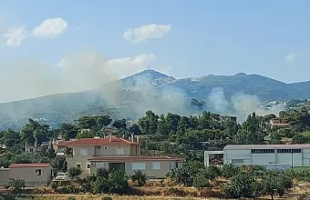 Φωτιά στην Παλλήνη 