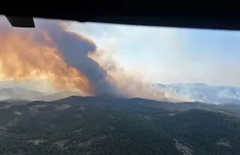 Δάσος της Δαδιάς