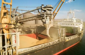 grain