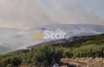 Φωτιά τώρα στο Δομοκό: Δύο τα μέτωπα 