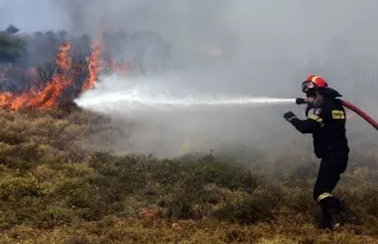 Οριοθετημένες οι φωτιές σε Βασιλική Λακωνίας και Παλαιά Επίδαυρο Αργολίδας