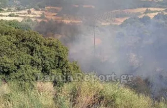 Φωτιά τώρα στο Λογγίτσι Φθιώτιδας