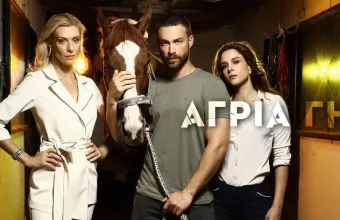 Άγρια Γη