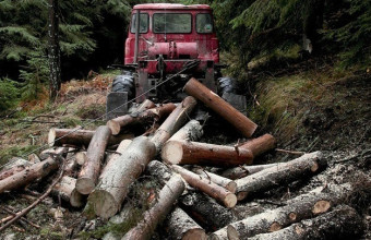  ΚΕΠΕ: Η βιομάζα του δάσους της Βόρειας Εύβοιας χρήσιμη για παραγωγή ενέργειας