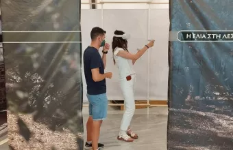 Ελιά στη Λέσβο
