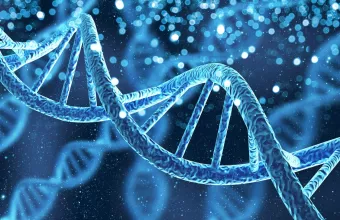 DNA