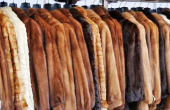Στα 28,7 εκατ. ευρώ η στήριξη του υπουργείου Ανάπτυξης στη γουνοποιία της Δυτικής Μακεδονίας