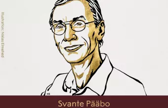 Σβάντε Πάαμπο