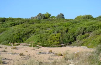 Κυπαρισσία παραλία