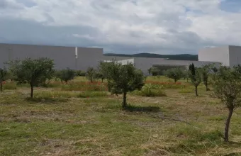 Το νέο μουσείο Αιγών