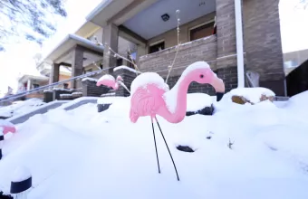 Χιονιάς ΗΠΑ