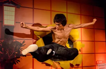 Ο Μπρους Λι