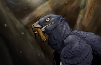 Ο Microraptor