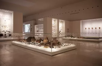 Μουσείο Αιγών