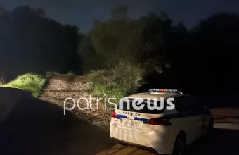 Πατρίς