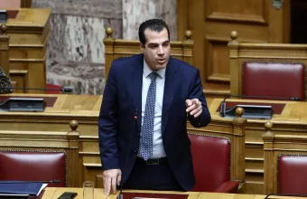 Πλεύρης