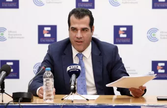 πλεύρης