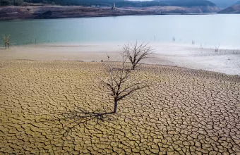 Ισπανία: Επιχείρηση για τη διάσωση ψαριών από ποταμό που στερεύει λόγω της παρατεταμένης ξηρασίας