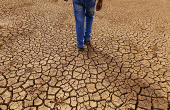 Καμπανάκι επιστημόνων: Αυξάνεται η ξηρασία - Ποιες περιοχές ενδέχεται να έχουν πρόβλημα 