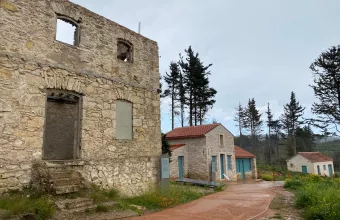 Κτήμα Τατοΐου