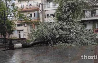 Ilina στη Θεσσαλονίκη