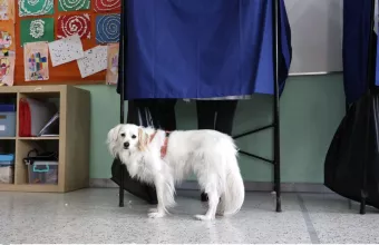 κάλπες