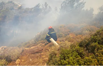 Πυρκαγιά ρόδος