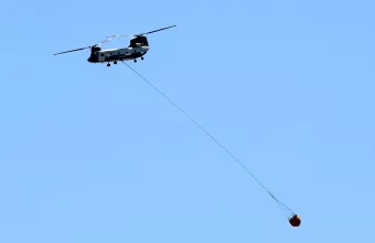 Chinook