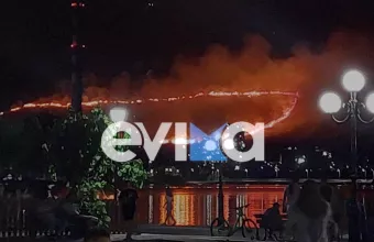 Φωτιά στην Εύβοια