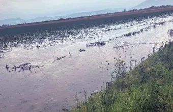 Καρδίτσα: Μεγάλες ζημιές από χαλάζι και ισχυρή βροχόπτωση στους Σοφάδες